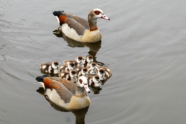 Familie beim gemütlichen Wandern auf einem Waldpfad